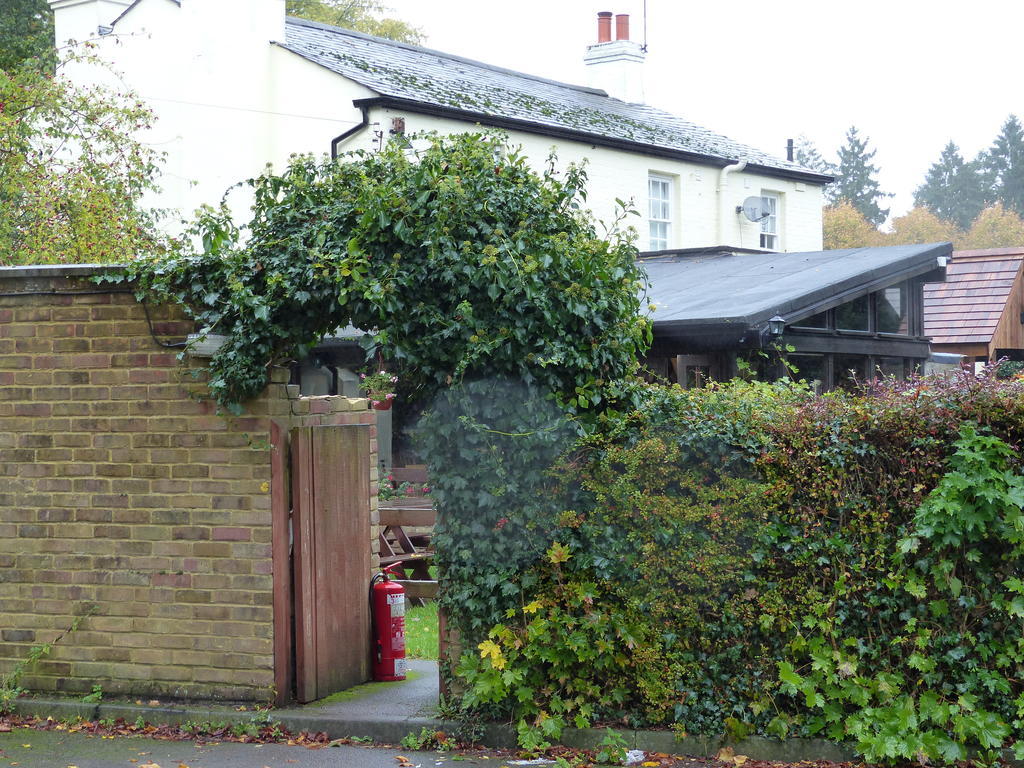 Englefield Green The Sun Inn المظهر الخارجي الصورة